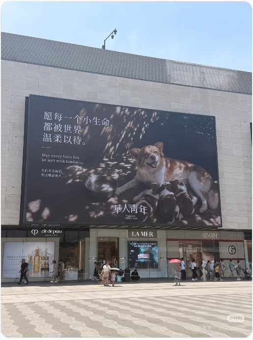 Im Netz verbreiteter Screenshot einer großen Anzeige in Hangzhou: Möge jedes kleine Leben sanft behandelt werden.
