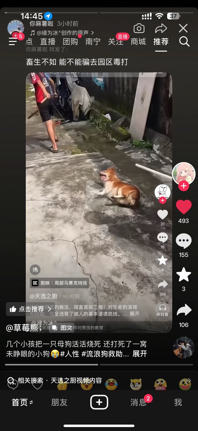 Sensitive public-source scene still from the Jieyang case