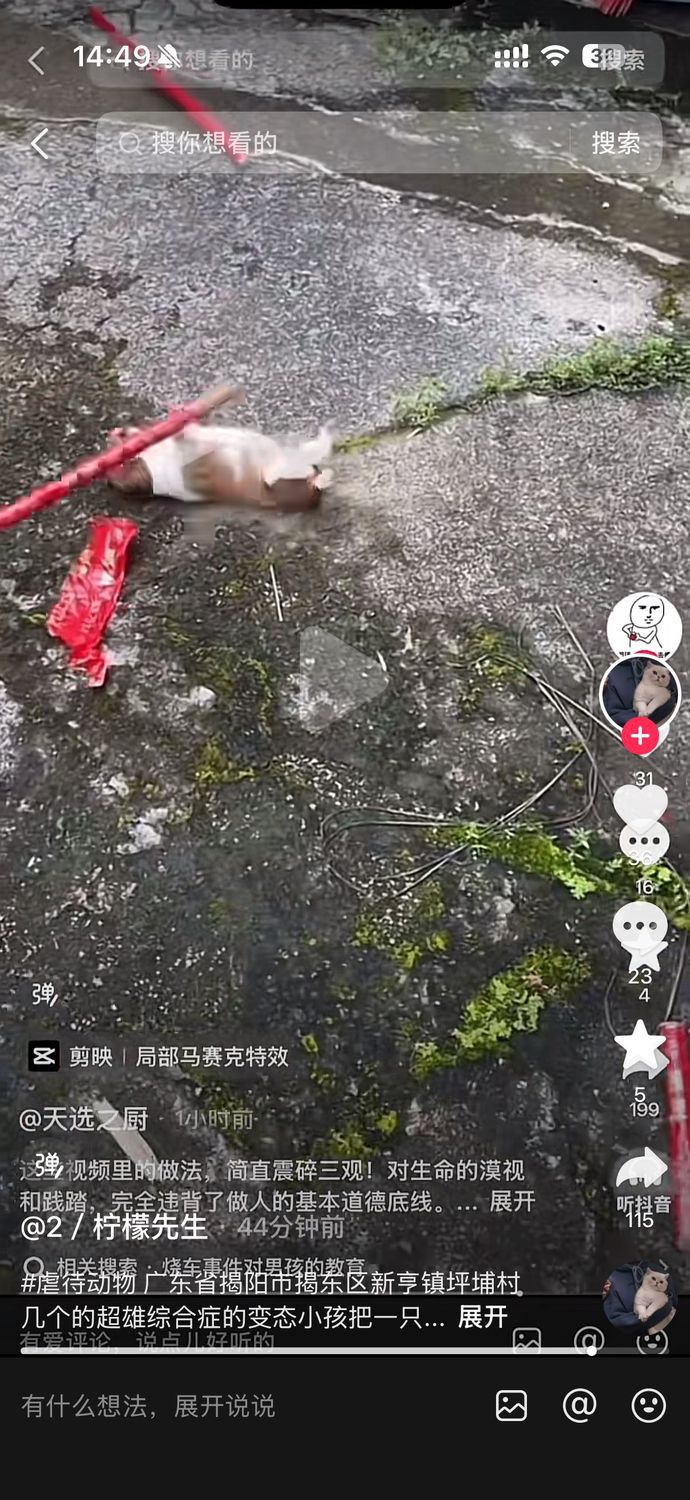 Sensitive public-source scene still involving a puppy
