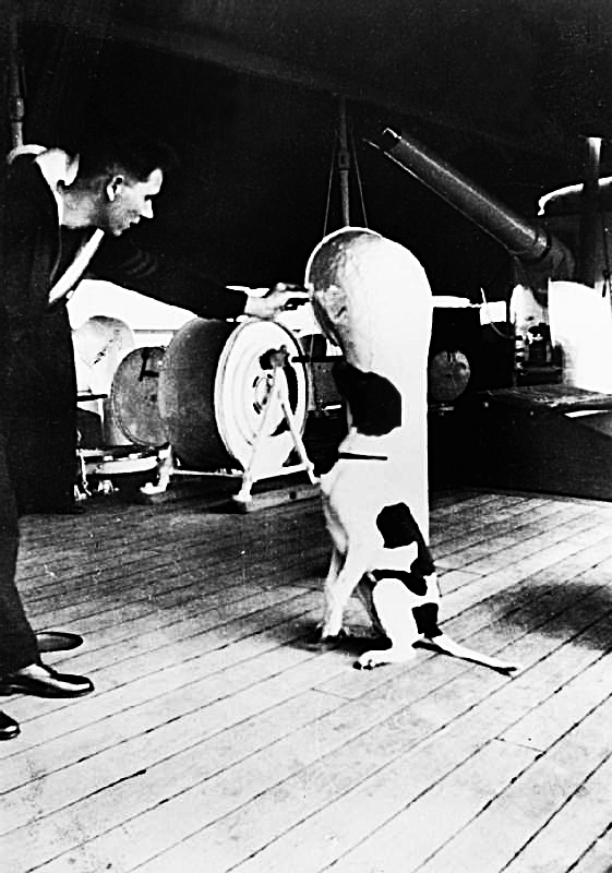 Judy auf dem Deck von HMS Grasshopper. Bildquelle: Wikimedia Commons, lokal gespeichert.