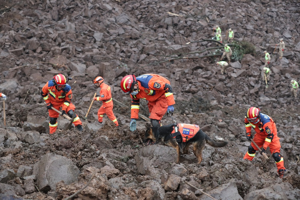Rettungskraefte suchen mit Hilfe eines Suchhundes am Erdrutschort in Junlian, Sichuan, nach Vermissten. Bildquelle: Xinhua / China Daily.