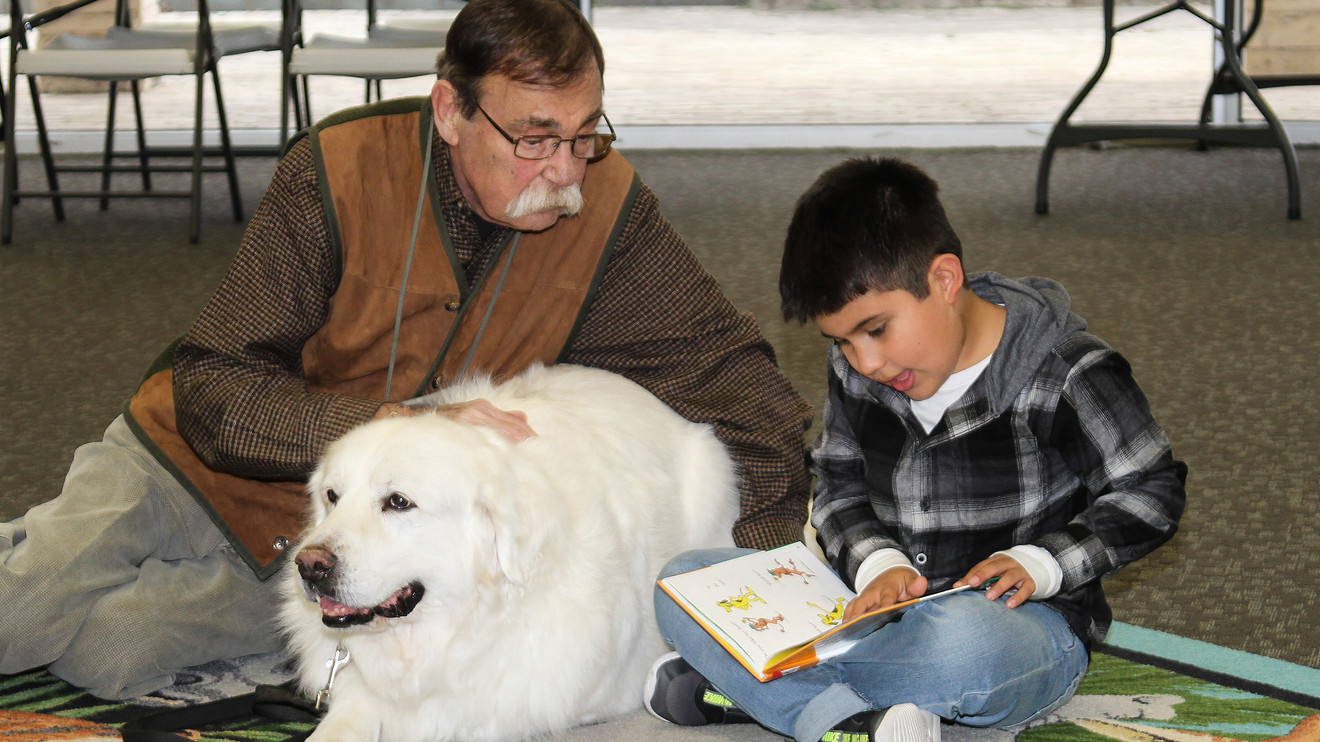 Bild zu einem Klassenhund-Programm. Bildquelle: Projektseite Pet Partners Dogs in the Classroom, lokal gespeichert.