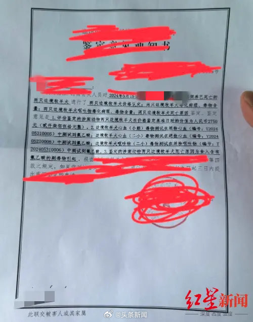 Erste Gutachtenmitteilung im Fall der zwei vergifteten Border Collies in Langfang