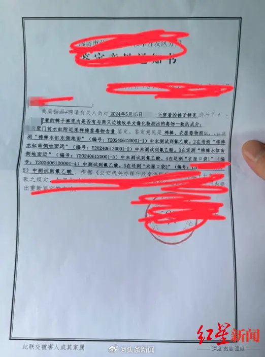 Zweite Gutachtenmitteilung im Fall der zwei vergifteten Border Collies in Langfang