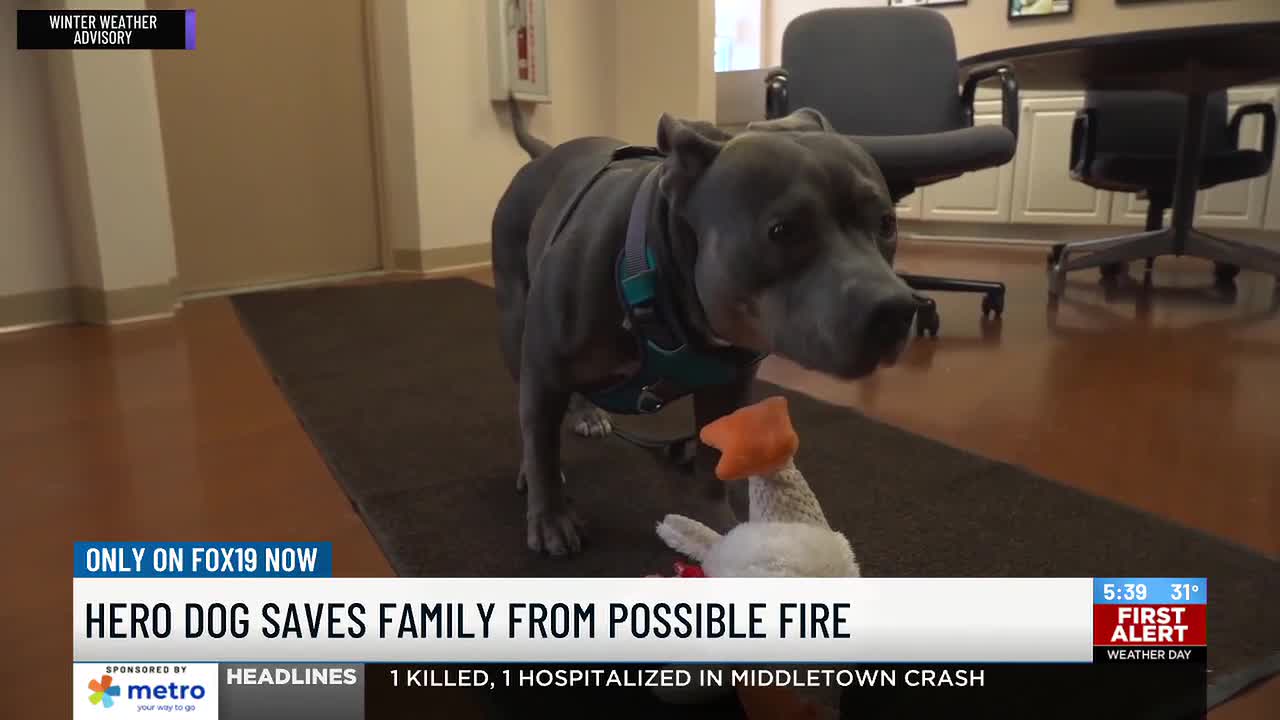 Layla Lou. Quelle: FOX19 NOW / WXIX.