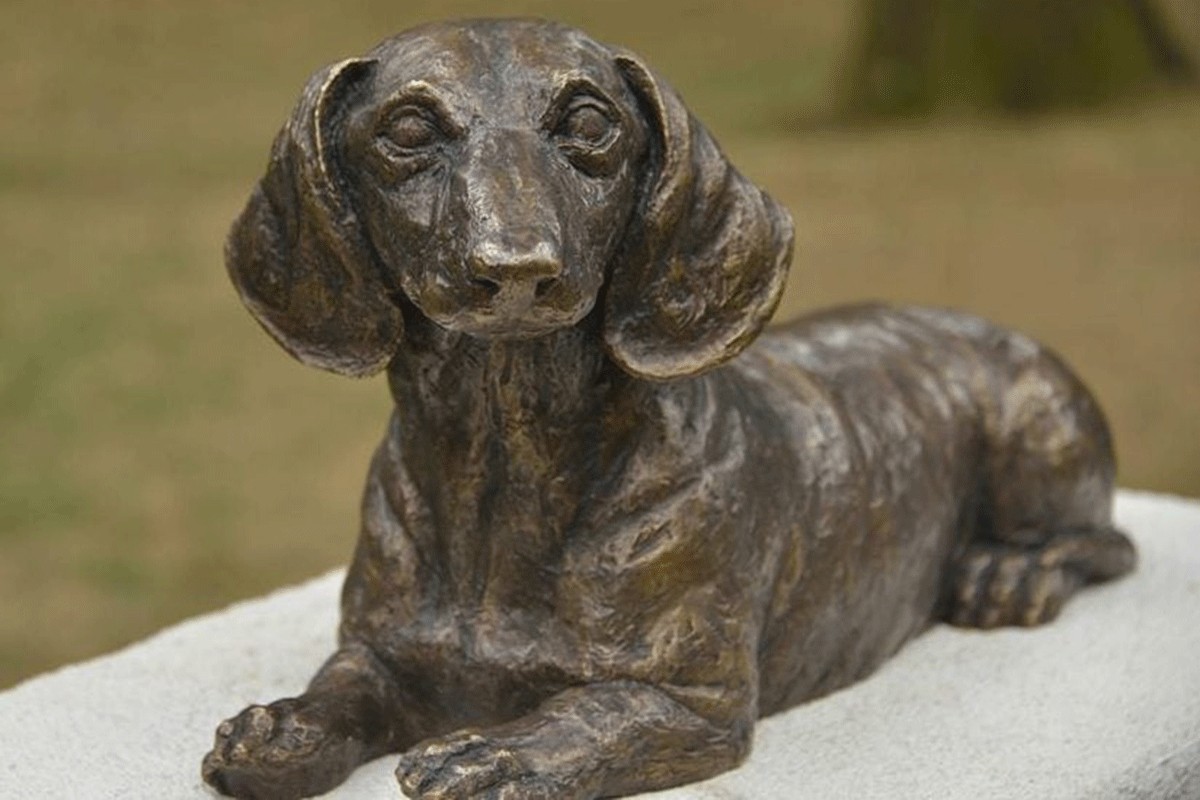 Leo: el dachshund serbio que murio protegiendo a una nina