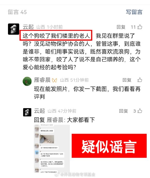 Screenshot von Kommentaren, die auf einer oeffentlichen Plattform gespeichert wurden und Streit ueber Behauptungen zeigen, ob die betroffene Huendin Menschen gebissen habe oder ein 'toller Hund' sei. Quelle: Sina News, Weiterleitung der Companion Animal Special Fund.
