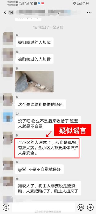 Auf oeffentlichen Plattformen gespeicherter Gruppenchatscreenshot und Bilder aus der stationaeren Behandlung, betreffend den Zustand der geschlagenen Mutterhuendin und Hinweise zu 'mutmasslichen Geruechten'. Quelle: Sina News, Weiterleitung der Companion Animal Special Fund.