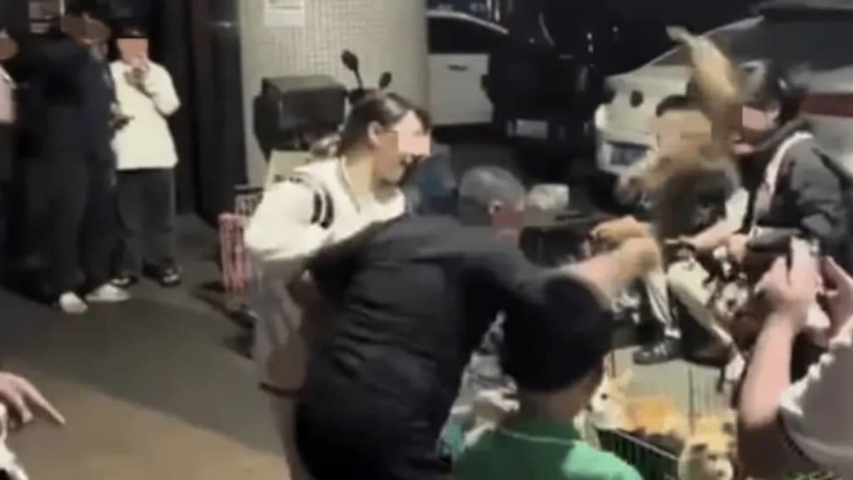 Videostandbild zum Fall in Liuzhou, Guangxi, in dem ein Mann nach verweigerter Rueckgabe auf einem Nachtmarkt einen Welpen zu Tode warf