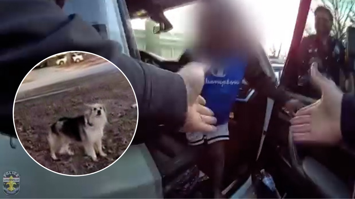 Szene aus oeffentlichen Berichten: Links der Nachbarschaftshund, der die Beamten fuehrte, rechts die Rettung des Kindes aus dem Auto. Bildquelle: WLKY / Louisville Metro Police Department.
