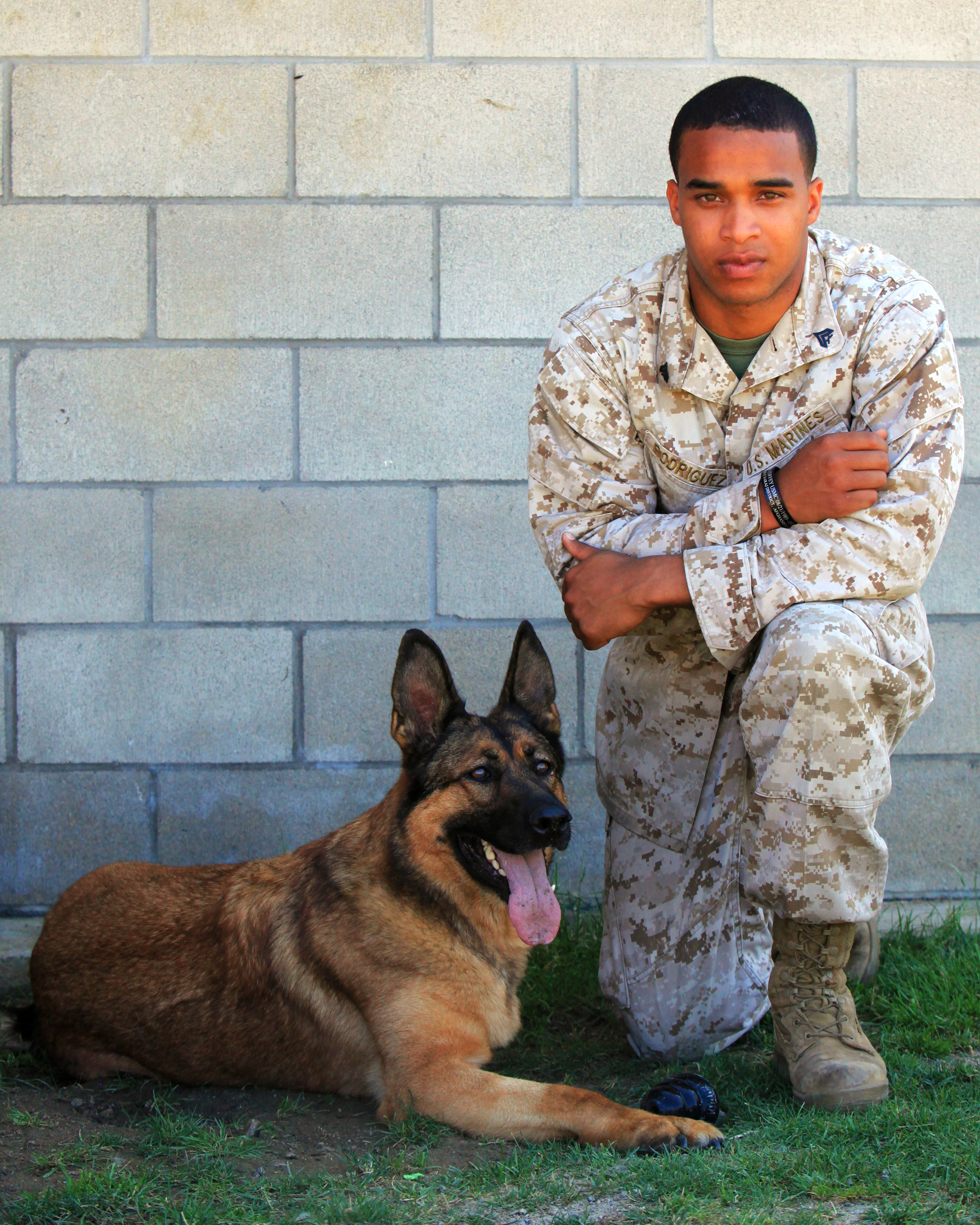 Lucca mit ihrem Hundefuehrer. Bildquelle: Wikimedia Commons / U.S. Marine Corps, lokal gespeichert.