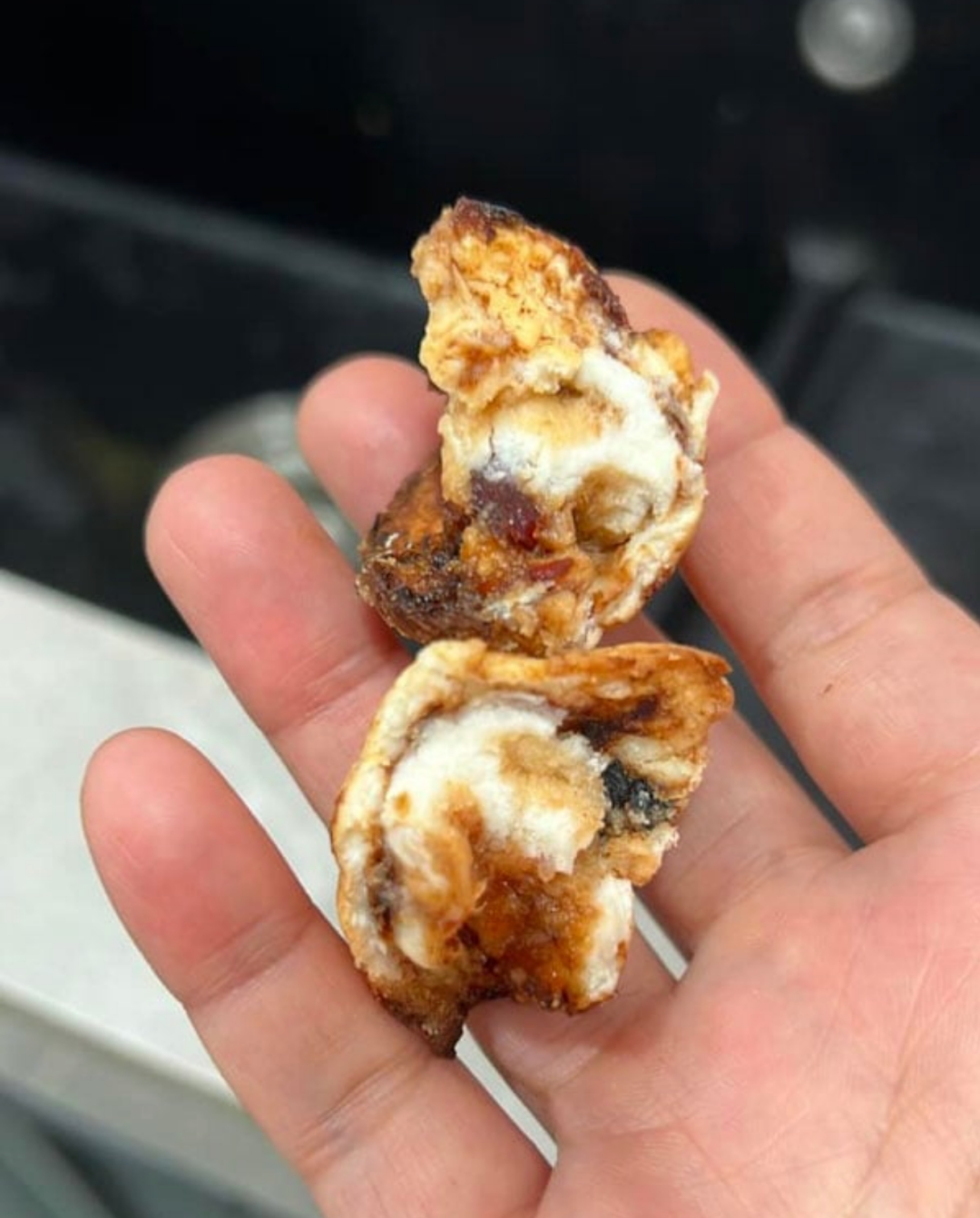 Bild aus oeffentlicher Berichterstattung, lokal gespeichert: Malaysia: Haushund stirbt nach mutmasslich vergiftetem Broetchen. Bildquelle: MustShareNews: M'sia pet dog dies after eating poisoned bun.