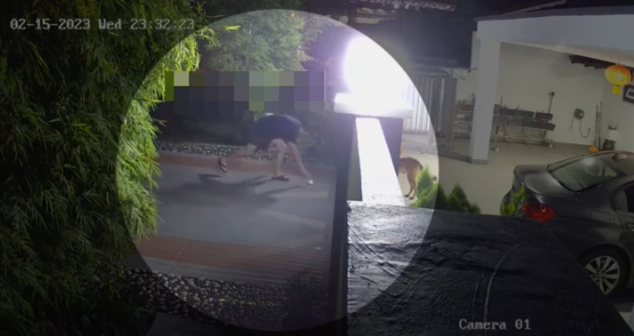 Bild aus oeffentlicher Berichterstattung, lokal gespeichert: Malaysia: Haushund stirbt nach mutmasslich vergiftetem Broetchen. Bildquelle: MustShareNews: M'sia pet dog dies after eating poisoned bun.