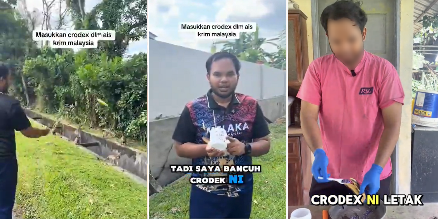 Bild aus oeffentlicher Berichterstattung, lokal gespeichert: Malaysia: Mann soll Affen mit vergiftetem Eis gefuettert haben. Bildquelle: MustShareNews: Man in M'sia feeds monkeys ice cream laced with poison.