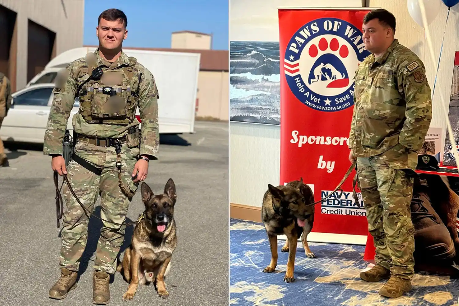 Alex Jones trifft den pensionierten Militaerhund Max wieder. Bildquelle: People / Paws of War.