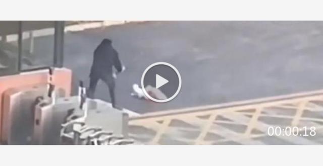 Standbild aus oeffentlichen Berichten zum Vorfall mit einem Streunerhund an der Mianyang Open University. Quelle: Tencent News ueber Observer Network.