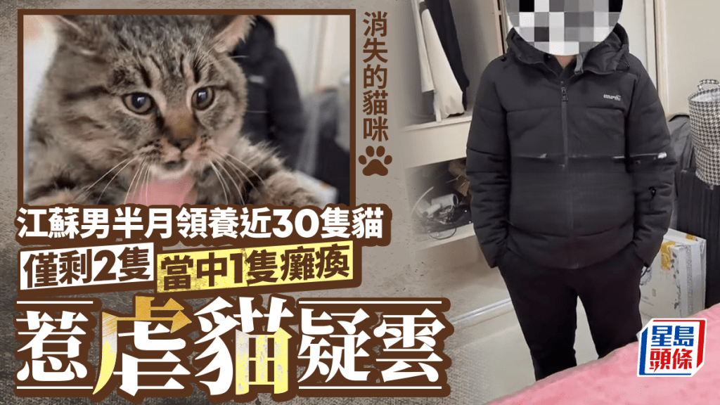 Von Headline Daily verwendetes zusammengesetztes Fallbild mit verschwundenen Katzen und Bildmaterial des mutmasslichen Adoptierenden. Quelle: Headline Daily / Gongfu Finance.