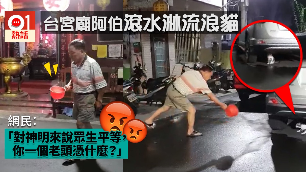 Man splashing hot water toward a stray cat outside a Luzhou temple