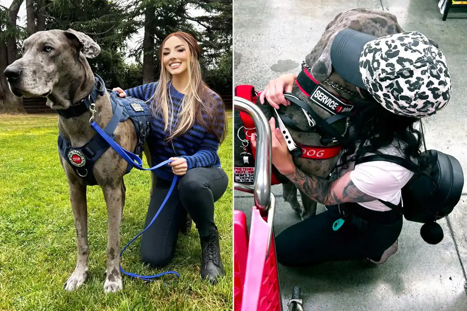 Otti, Servicehündin und Deutsche Dogge