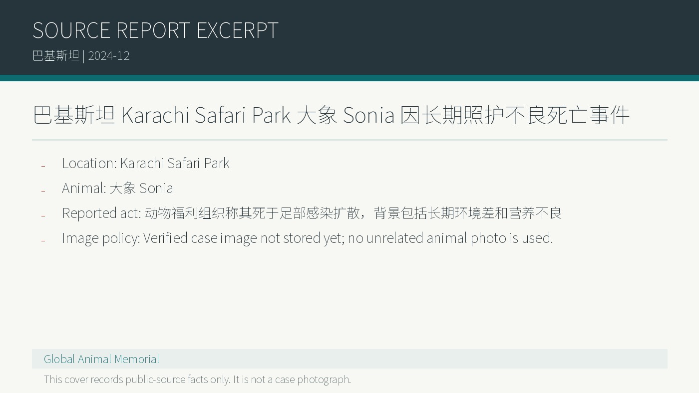 Pakistan Karachi Safari Park: Elefantin Sonia nach mutmasslicher Vernachlaessigung gestorben