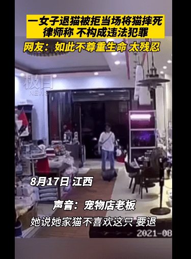 Videostandbild aus dem Fall in einer Tierhandlung in Pingxiang, Jiangxi, in dem eine Frau nach verweigerter Rueckgabe eine Katze warf