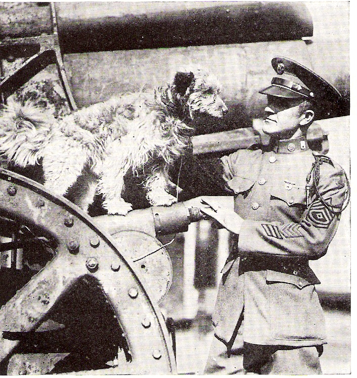 Rags um 1920 in Fort Hamilton. Bildquelle: Wikimedia Commons, lokal gespeichert.