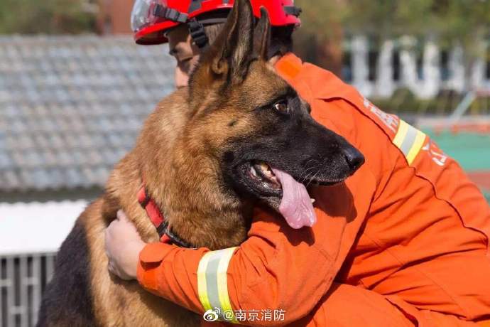Oeffentliches Berichtsfoto zu Shenhu. Bildquelle: CCTV News App, lokal gesicherte Kopie.