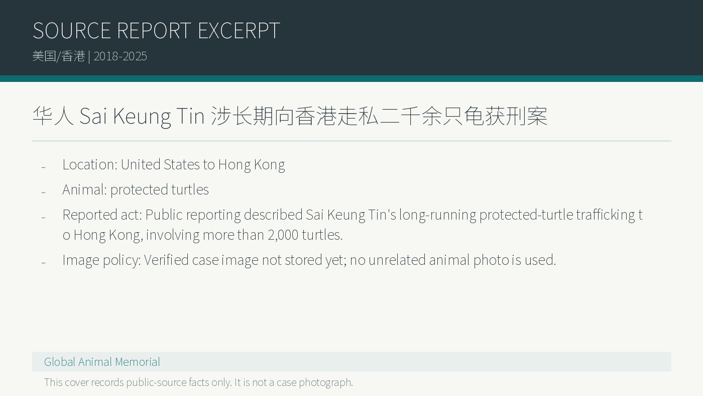 Sai Keung Tin: Langjaehriger Schmuggel von mehr als 2.000 Schildkroeten nach Hongkong, Haftstrafe
