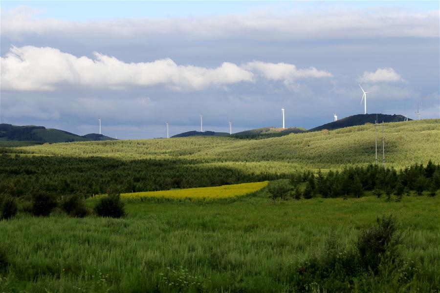 Morgenlandschaft in Saihanba