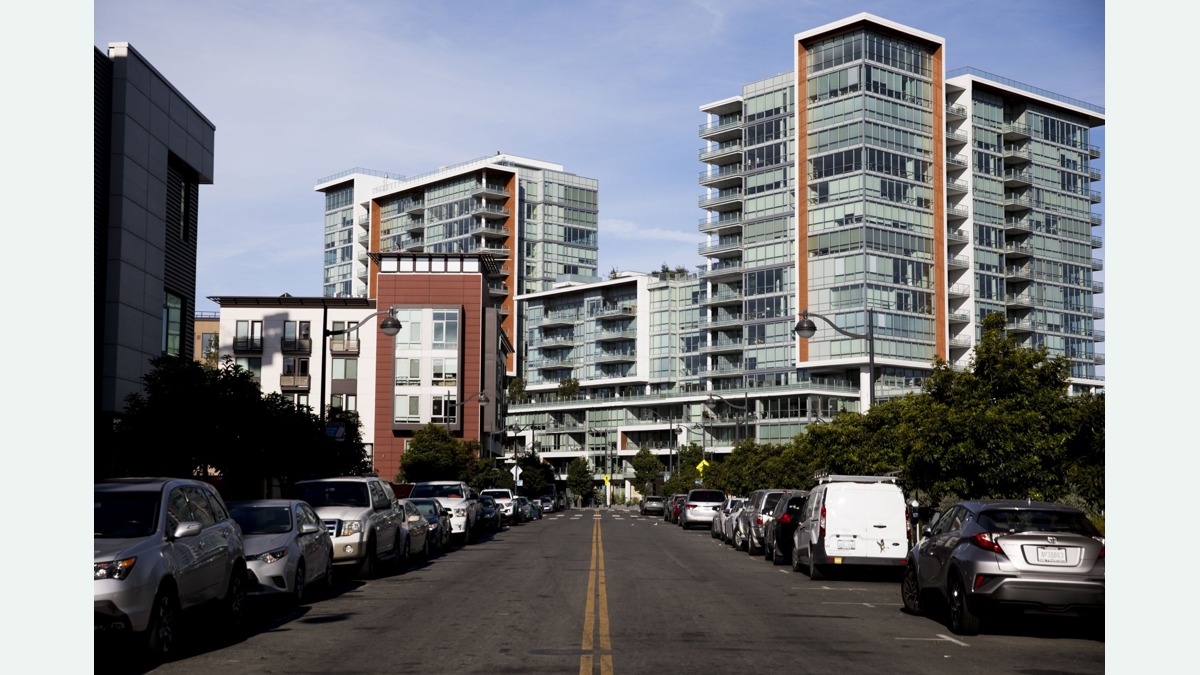 USA San Francisco Mission Bay: Mann nach toedlichem Angriff auf Hund festgenommen