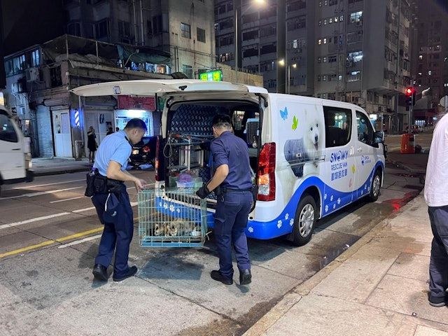Polizei- und SPCA-Fahrzeug am Ort in Sham Shui Po