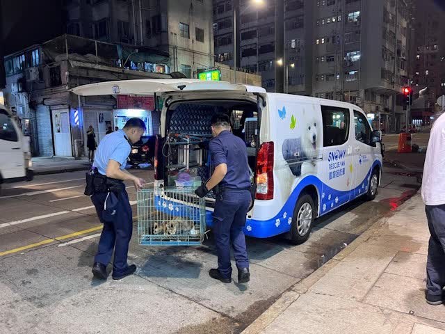 SPCA-Fahrzeug nachts am Ort in Sham Shui Po