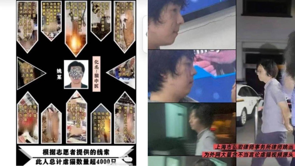 橙新闻报道配图：律所回应与事件相关画面