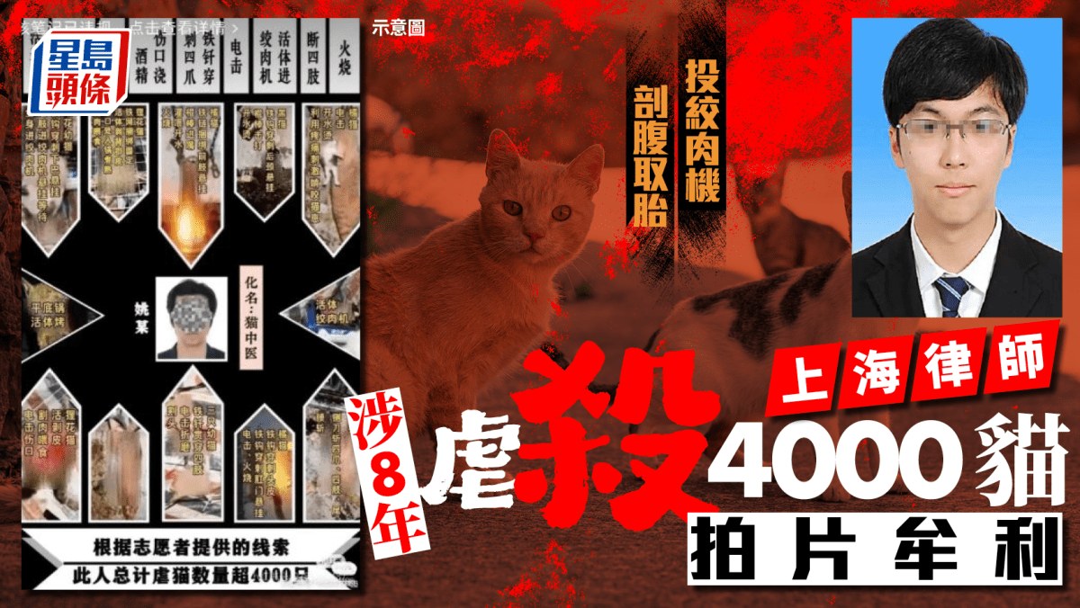 星岛头条报道配图：公开报道中的事件资料图