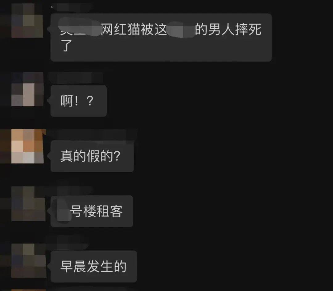 Screenshots aus Eigentuemergruppe und Online-Verbreitung