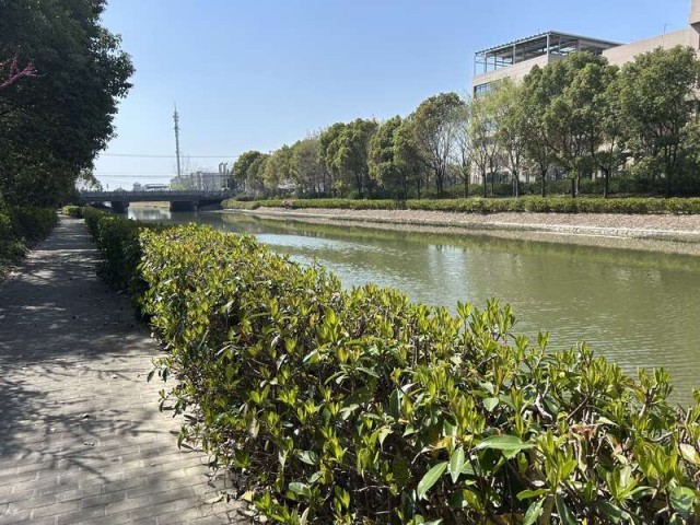 Umgebung am Youyi-Fluss