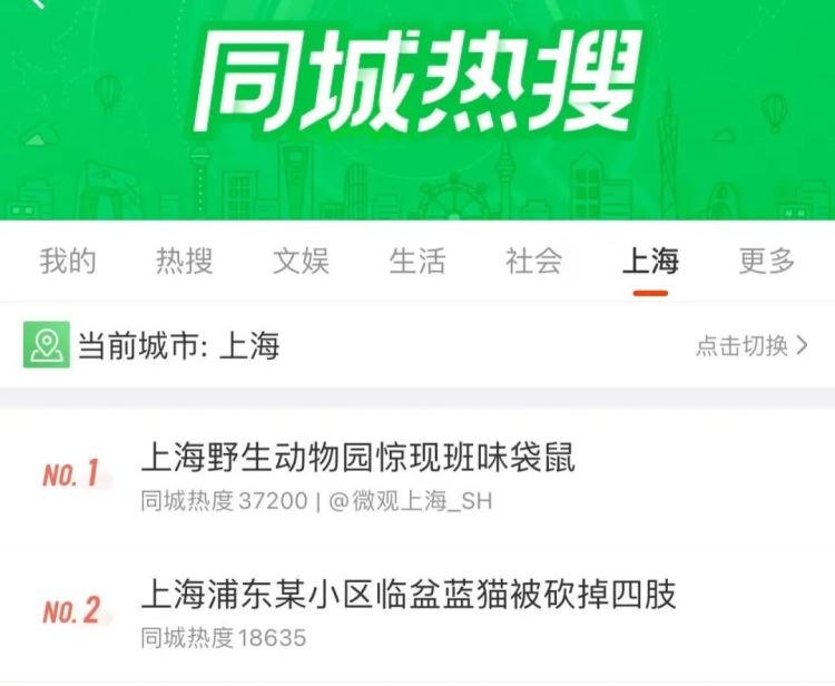 Screenshot der lokalen Weibo-Hot-Search zum Shanghaier Blaukatzenfall