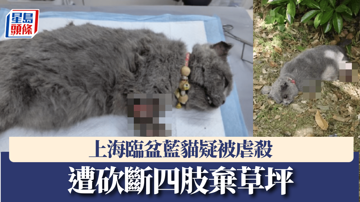 Hauptbild aus dem Bericht von Sing Tao Headline