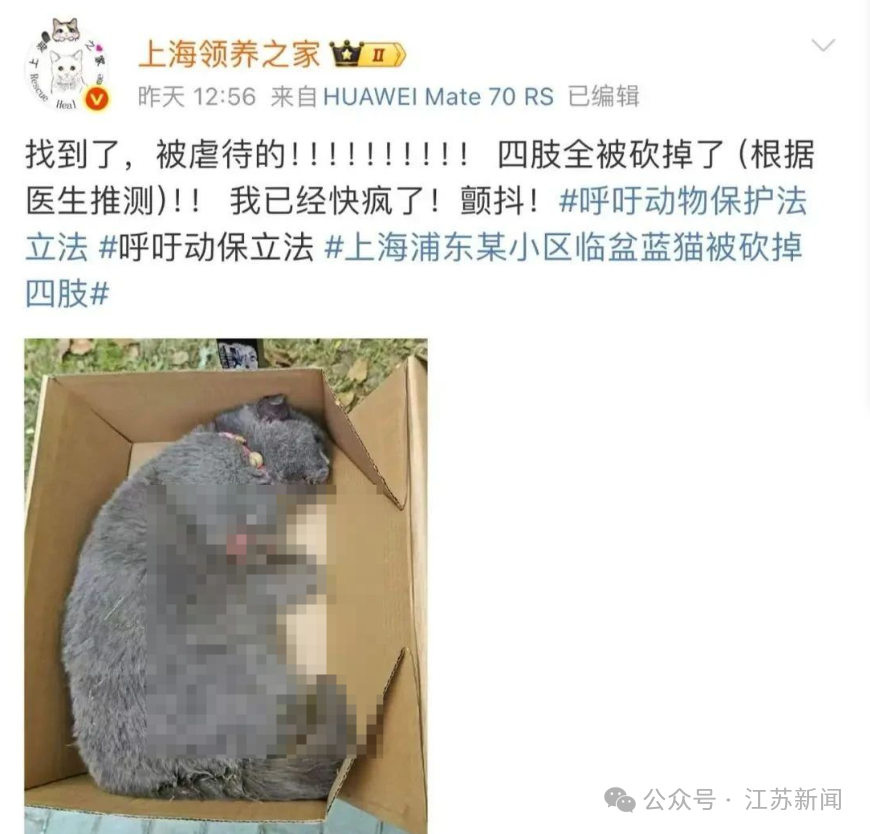 Weiterer Screenshot von Shanghai Adoption Home