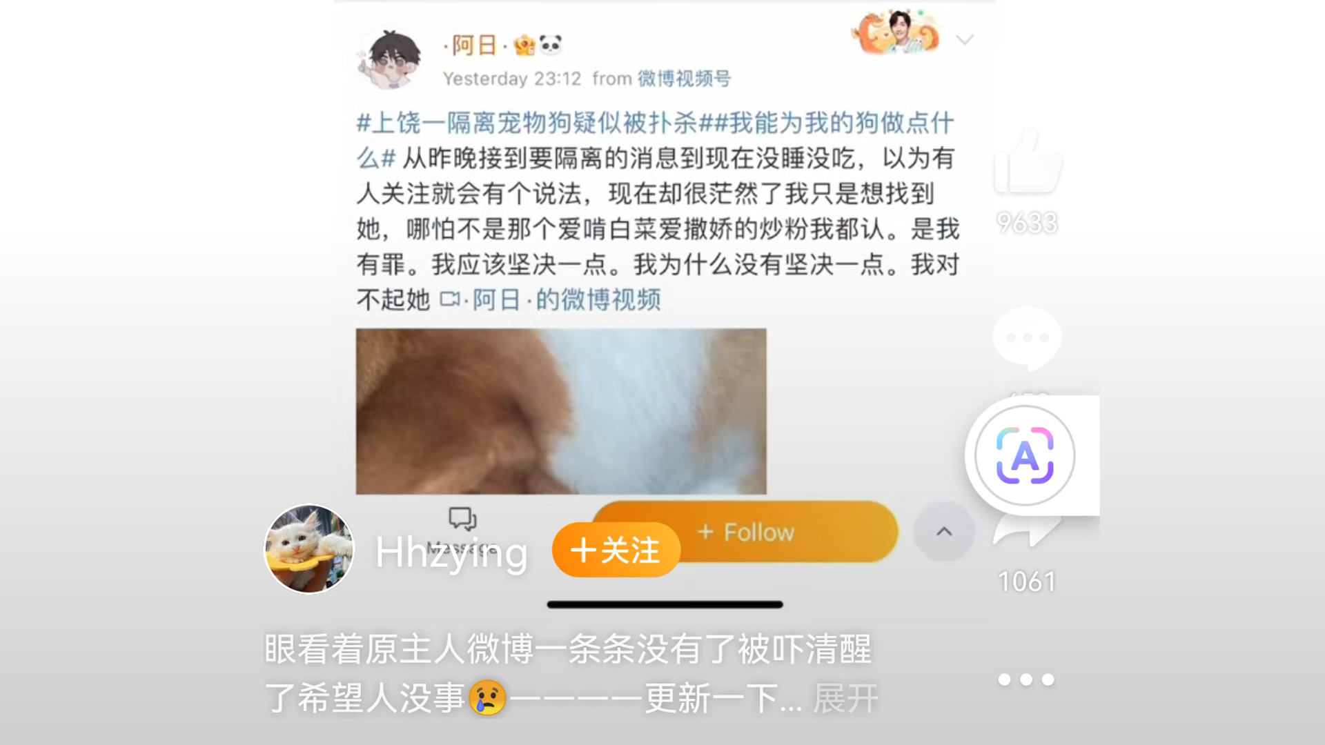Screenshot des urspruenglichen Beitrags der Halterin des Corgis Chaofen