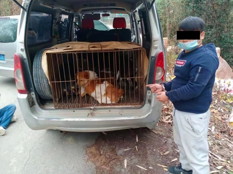 Bild aus dem Nanfang+-Bericht zum von der Polizei Zhenjiang zerschlagenen Hundediebstahl-Ring, lokal gespeichert.