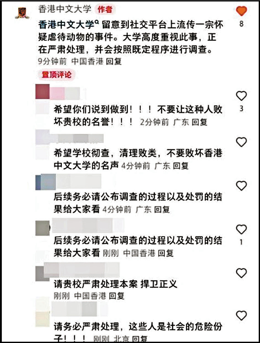 Screenshot der Reaktion der Chinesischen Universitaet Hongkong, Shenzhen