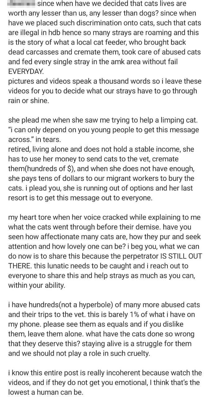Von MustShareNews oeffentlich berichtetes Bild, lokal gesichert: Singapur: Zunahme mutmasslicher Misshandlungsfaelle von Community-Katzen in Ang Mo Kio.