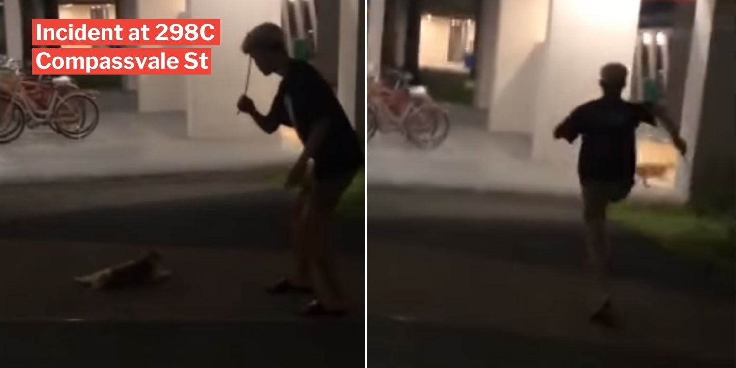 Von MustShareNews oeffentlich berichtetes Bild, lokal gesichert: Singapur: Mann in Compassvale soll versucht haben, eine streunende Katze mit einem Stock zu schlagen.