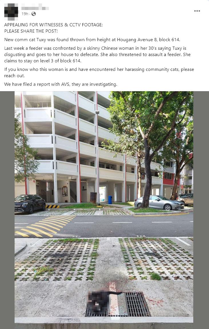 Von MustShareNews oeffentlich berichtetes Bild, lokal gesichert: Singapur: Community-Katze in Hougang mutmasslich aus der Hoehe geworfen und getoetet.