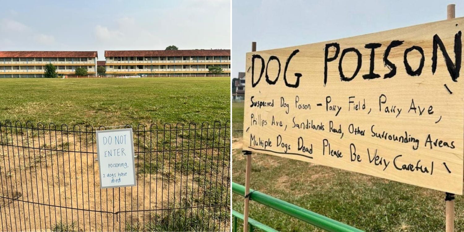 Von MustShareNews oeffentlich berichtetes Bild, lokal gesichert: Singapur: mutmassliche Vergiftung von Hunden am Kovan Field.
