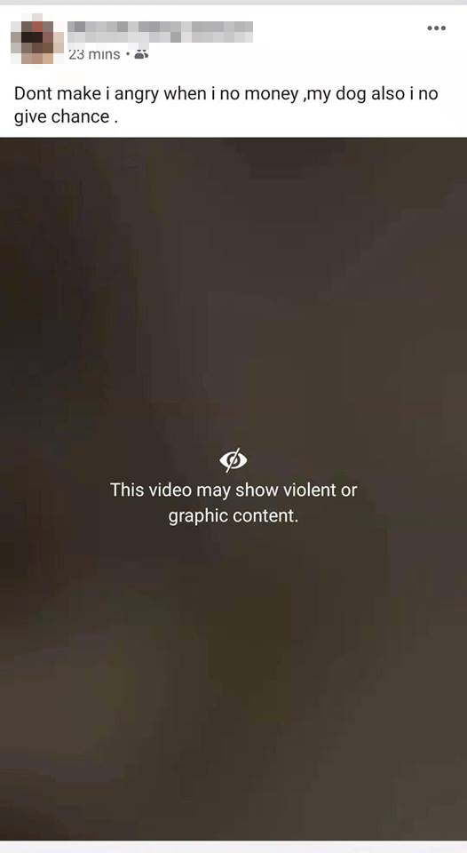 Oeffentlich berichtetes Bild von MustShareNews, lokal gesichert: Singapur: Mann schlaegt Hund und setzt Fell in oeffentlichem Video in Brand.