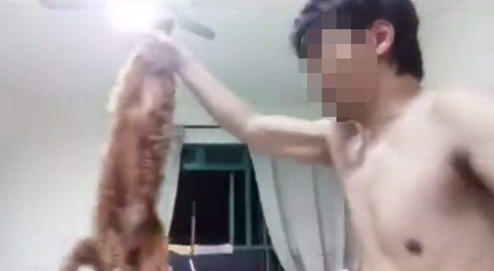 Oeffentlich berichtetes Bild von MustShareNews, lokal gesichert: Singapur: Mann schlaegt und schleudert Hund in oeffentlichem Video.