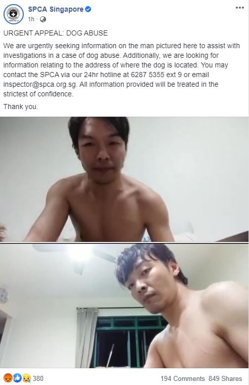 Oeffentlich berichtetes Bild von MustShareNews, lokal gesichert: Singapur: Mann schlaegt und schleudert Hund in oeffentlichem Video.