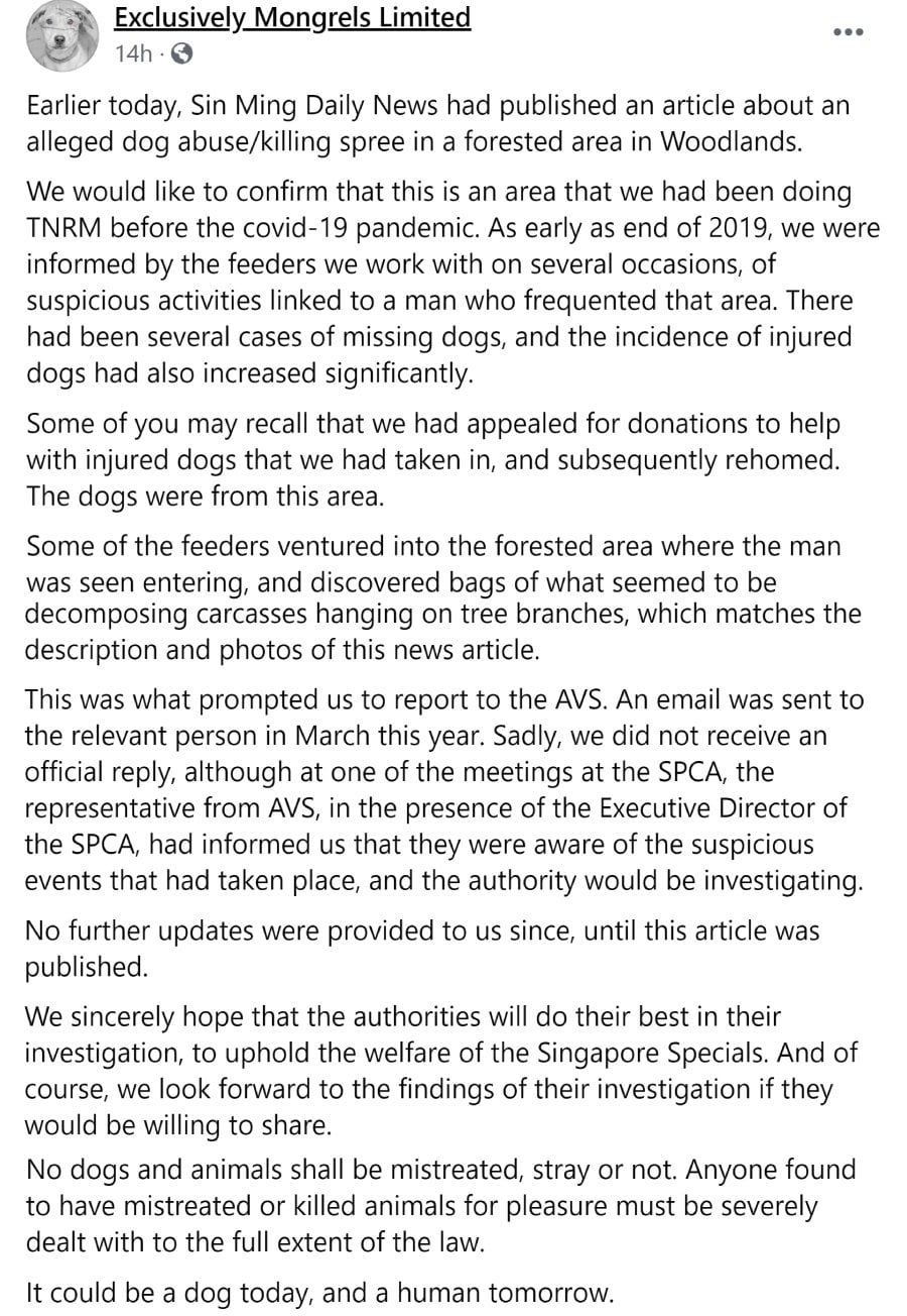 Oeffentlich berichtetes Bild von MustShareNews, lokal gesichert: Singapur: Verdacht auf laengerfristige Hundeverletzungen im Woodlands Forest.